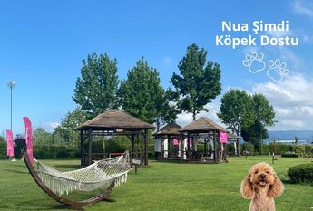 Adsız (345 X 233 Piksel) (1)